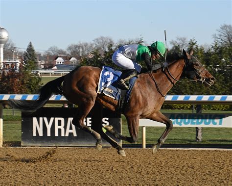 aqueduct entries for today.
